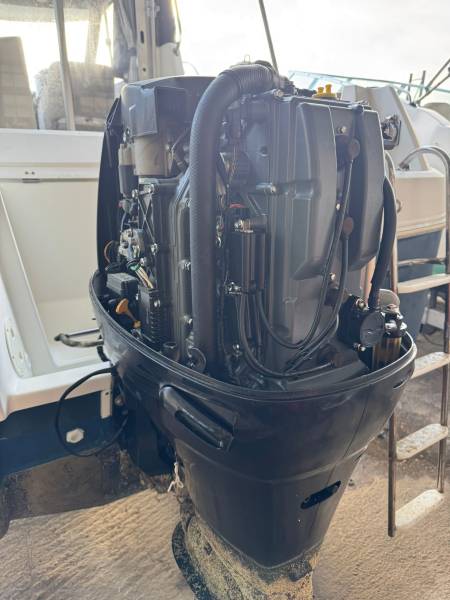 moteur 115cv suzuki 4 temps arbre long injection