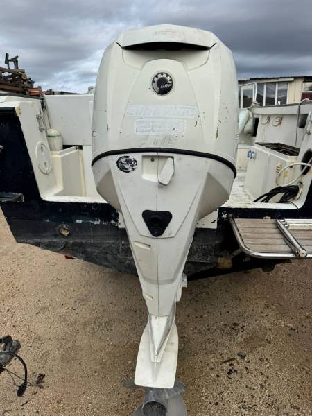 MOTEUR HORS-BORD 250cv EVINRUDE E-TECH