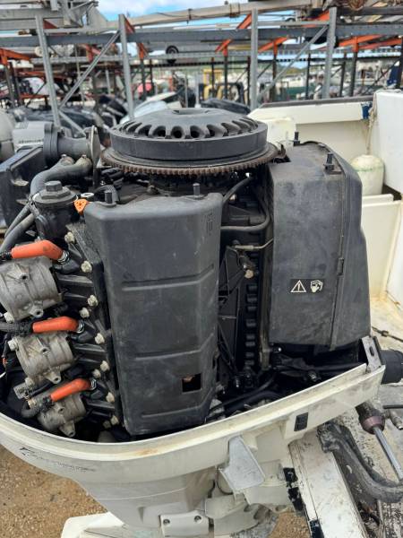 MOTEUR HORS-BORD 250cv EVINRUDE E-TECH