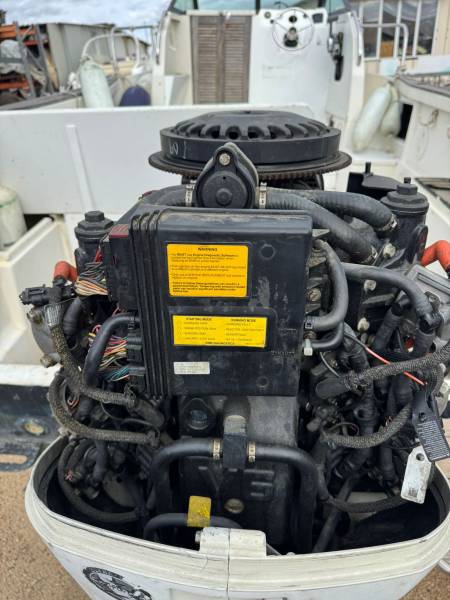 MOTEUR HORS-BORD 250cv EVINRUDE E-TECH