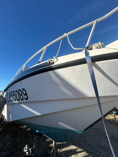 Bateau RIO 6.5m année 1994 équipé volvo penta 150 cv turbo