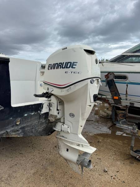 MOTEUR HORS-BORD 250cv EVINRUDE E-TECH